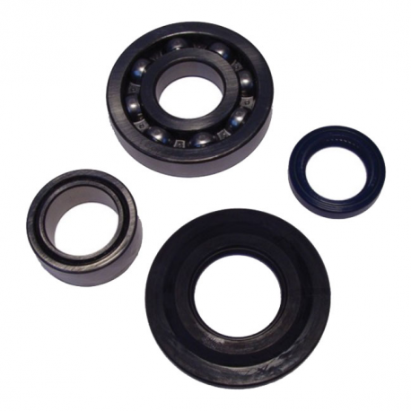 Kit Cuscinetti Albero Motore Con Paraoli Vespa P 125 X - P 200 E - PX 200 E Lusso 