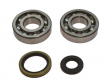 Kit Cuscinetti Albero Motore Racing Con Paraoli Suzuki RM 250 