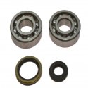 Kit Cuscinetti Albero Motore Racing Con Paraoli Suzuki RM 250