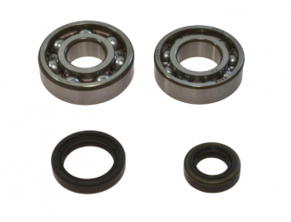Kit Cuscinetti Albero Motore Racing Con Paraoli Suzuki RM 250