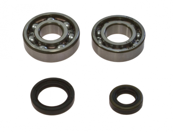 Kit Cuscinetti Albero Motore Racing Con Paraoli Suzuki RM 250 