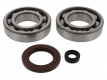 Kit Cuscinetti Albero Motore Athena Con Paraoli Suzuki UC 125 Epicuro - UH 200 G Burgman