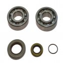 Kit Cuscinetti Albero Motore Con Paraoli Gas Gas EC 200