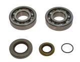 Kit Cuscinetti Albero Motore Con Paraoli Gas Gas EC 200