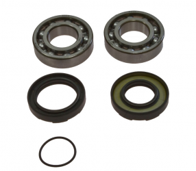 Kit Cuscinetti Albero Motore Con Paraoli Yamaha DT 250 MX - YZ 250 2T