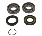 Kit Cuscinetti Albero Motore Con Paraoli Yamaha DT 250 MX - YZ 250 2T