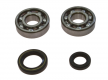 Kit Cuscinetti Albero Motore Con Paraoli Honda CR 125 R 