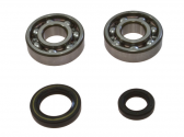 Kit Cuscinetti Albero Motore Con Paraoli Honda CR 125 R