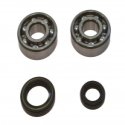 Kit Cuscinetti Albero Motore Con Paraoli Kawasaki KX 60 B - KX 65 A - KX 80 D