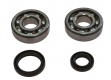 Kit Cuscinetti Albero Motore Con Paraoli Suzuki RM 80 X - RM 85 
