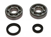 Kit Cuscinetti Albero Motore Con Paraoli Suzuki RM 80 X - RM 85