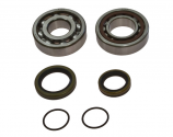 Kit Cuscinetti Albero Motore Con Paraoli KTM EGS 125 2T - EXC 200 2T