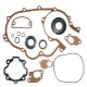Kit Guarnizioni Gruppo Termico Completo Athena Vespa P 80 X - Super 150 