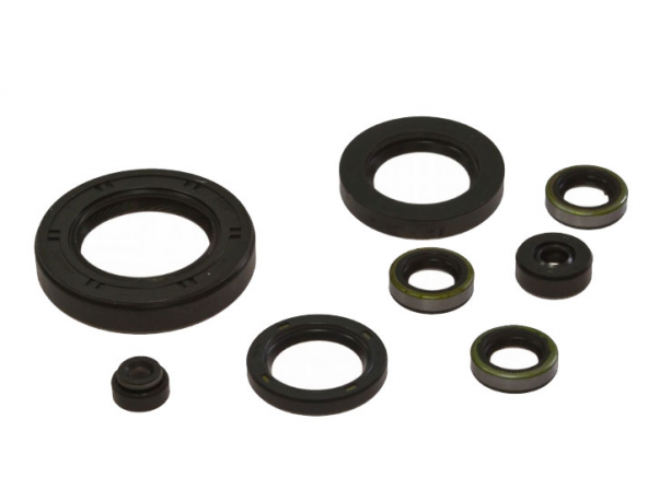 Kit Paraoli Motore Kawasaki Z 900 A - Z 1000 MK2