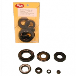 Kit Paraoli Motore Honda CB 750 K - CB 1100 R