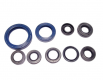 Kit Paraoli Motore Kawasaki KFX 450 R KSF - KX 450 F 