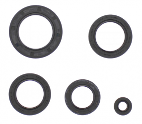 Kit Paraoli Motore Honda FES 125 Pantheon