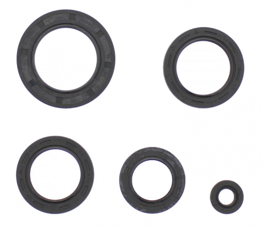 Kit Paraoli Motore Honda FES 125 Pantheon 