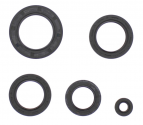 Kit Paraoli Motore Honda FES 125 Pantheon