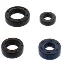 Kit Paraoli Motore Honda CRF 150 F - CRF 230 F