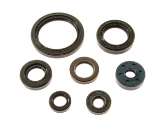 Kit Paraoli Motore Yamaha YZ 450 F