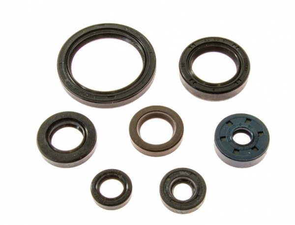 Kit Paraoli Motore Yamaha YZ 450 F 