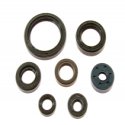 Kit Paraoli Motore Yamaha YZ 450 F