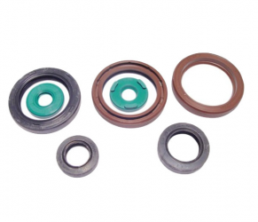 Kit Paraoli Motore KTM EXC 400 - EXC 450 - EXC 530