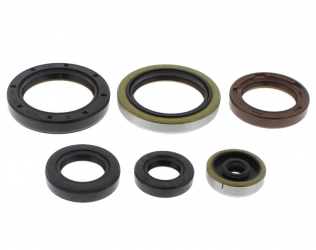 Kit Paraoli Motore Husqvarna - KTM