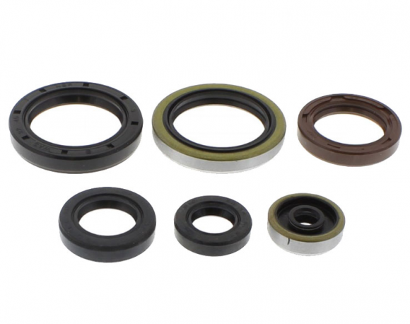 Kit Paraoli Motore Husqvarna - KTM 