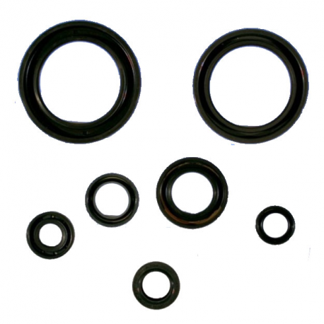 Kit Paraoli Motore Honda CRF 250 R - CRF 250 X 