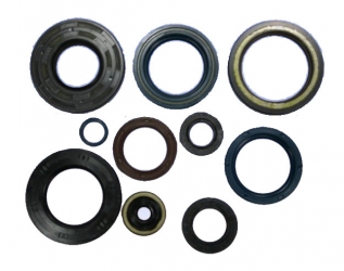 Kit Paraoli Motore KTM EGS 250 2T - EGS 360 2T - EXC 300 2T