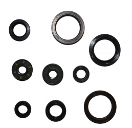 Kit Paraoli Motore KTM EXC 450 ie - EXC 500 ie Sixdays - SX-F 450 ie