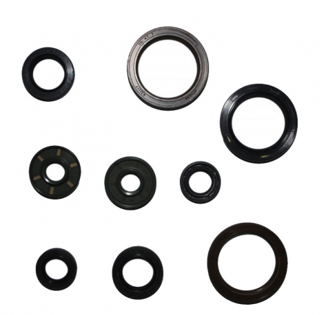 Kit Paraoli Motore KTM EXC 450 ie - EXC 500 ie Sixdays - SX-F 450 ie 