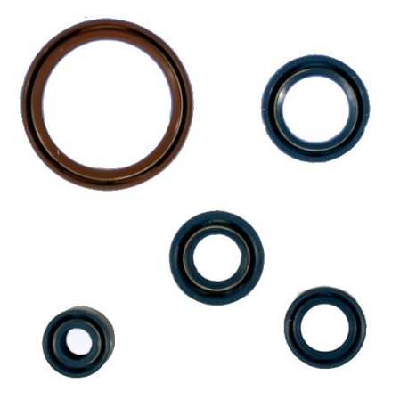 Kit Paraoli Motore Husqvarna SM 450 R - SM 510 R - TC 510 