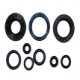 Kit Paraoli Motore Husqvarna CR 250 - WR 360 