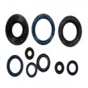 Kit Paraoli Motore Husqvarna CR 250 - WR 360