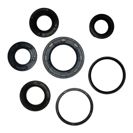 Kit Paraoli Motore Kymco ZX 50 II Fever - Super 8 50 2T 