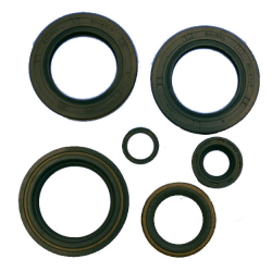 Kit Paraoli Motore KTM EGS 400 LC4 - LC4-E 640 Supermoto