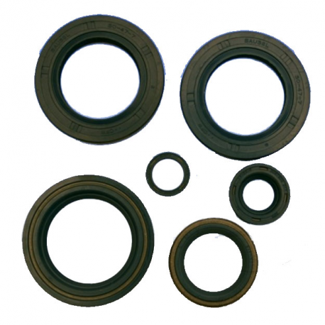 Kit Paraoli Motore KTM EGS 400 LC4 - LC4-E 640 Supermoto 