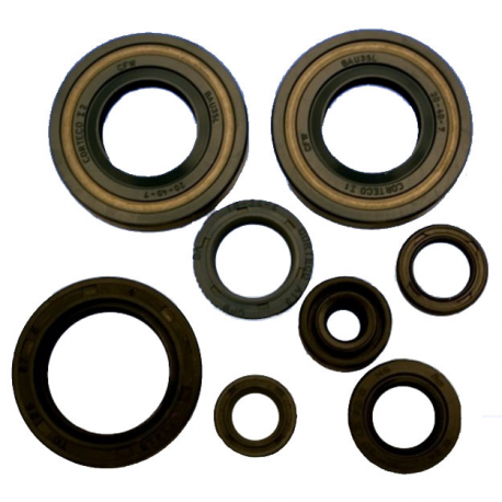 Kit Paraoli Motore Kawasaki KX 80 R - KX 85 A Kleinrad 
