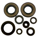 Kit Paraoli Motore Kawasaki KX 80 R - KX 85 A Kleinrad