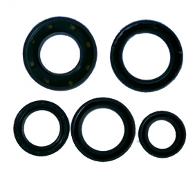 Kit Paraoli Motore Suzuki - Aprilia