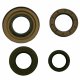 Kit Paraoli Motore Vespa P 80 X - PX 125 E - PX 150 E Lusso 
