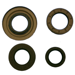 Kit Paraoli Motore Vespa P 80 X - PX 125 E - PX 150 E Lusso