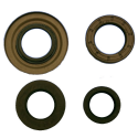 Kit Paraoli Motore Vespa P 80 X - PX 125 E - PX 150 E Lusso