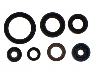 Kit Paraoli Motore Yamaha YZ 250 F 4T