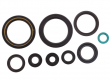 Kit Paraoli Motore Honda CRF 450 R - CRF 450 RX 
