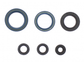 Kit Paraoli Motore KTM EGS 125 2T - SX 125 2T
