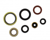Kit Paraoli Motore Husqvarna TC 250 2T - TE 300 2T 